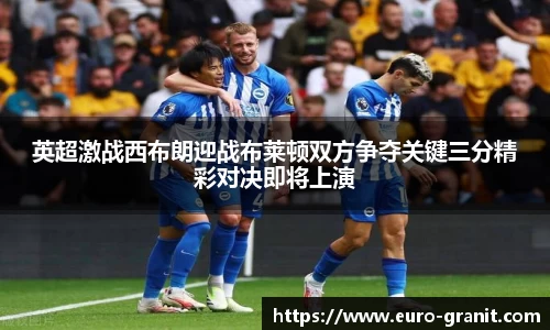英超激战西布朗迎战布莱顿双方争夺关键三分精彩对决即将上演